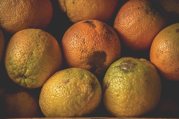 pomaranče, organické, pomarančová kôra, Trhovisko, produkty, vitamín, ovocie, citrus, oranžová, čerstvé