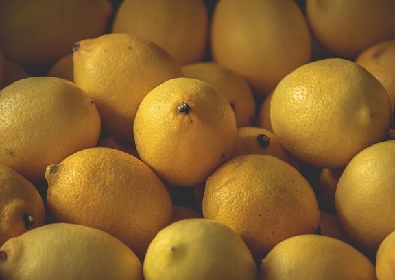 жовтувато, лимон, цитрусові, стиглі плоди, фрукти, продукти, органічні, виробляють, здоровий, їжа