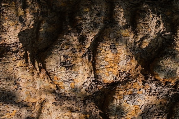 bark, texture, cortex, tree, shadow, nature, rough, old, dark, pattern