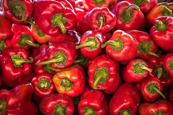 paprika, vitamín C, antioxidant, organický, pepř, zelenina, červená, trh, zemědělství, jídlo