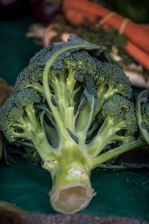 Brokkoli, Bio, Gemüse, aus nächster Nähe, Antioxidans, Markt, Landwirtschaft, Zutaten, Ernährung, Ernährung