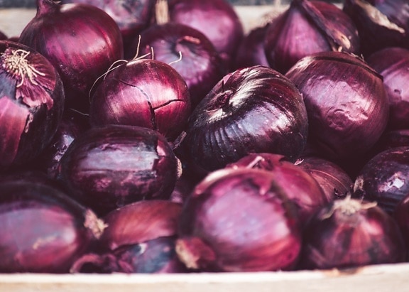 organic, purplish, onion, purple onion, ingredients, food, vegetable, nutrition, farming, flora