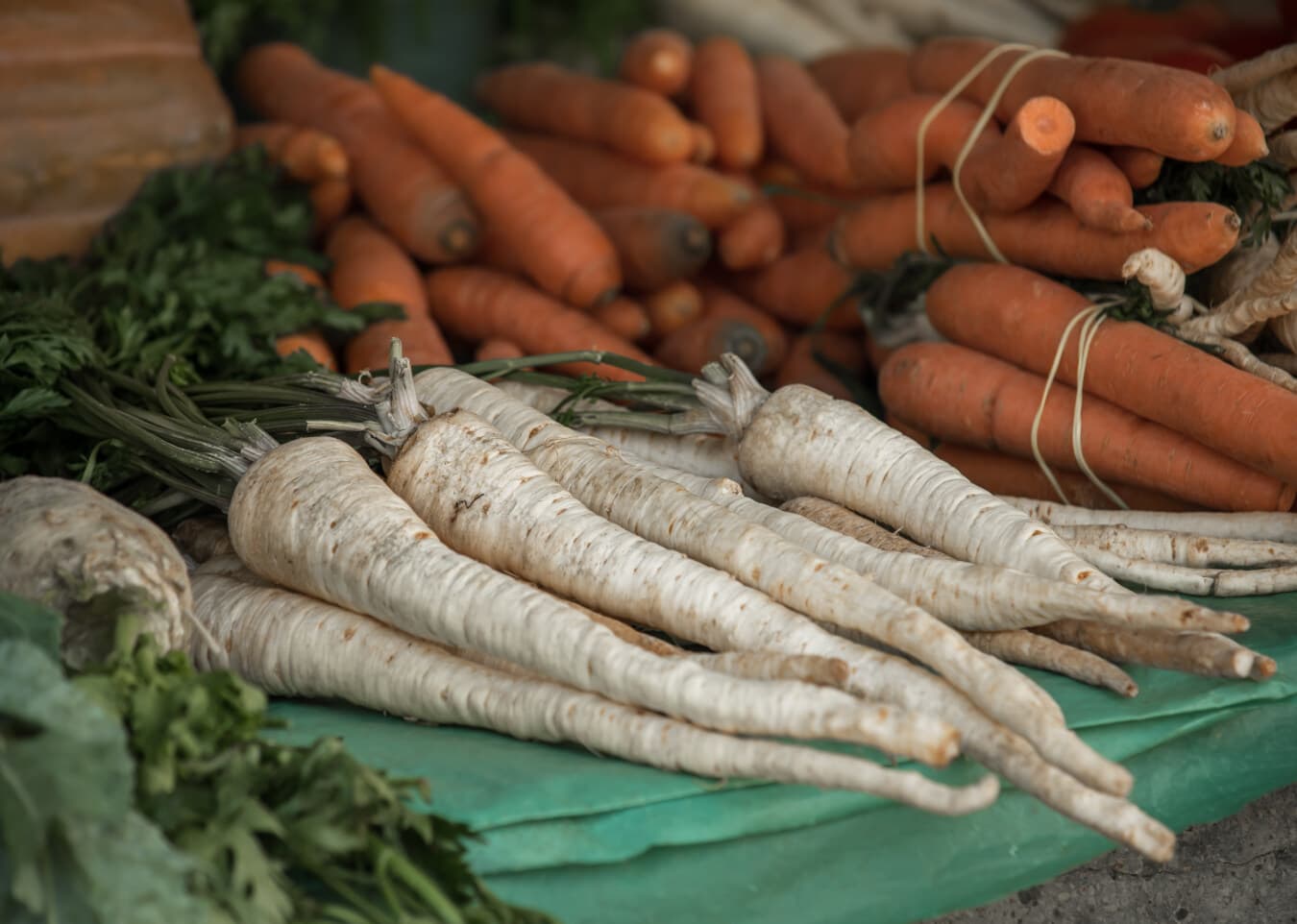 zanahoria, vegetales, raíces, vitamina, orgánica, antioxidantes, alimentos, mercado, raíz, producir