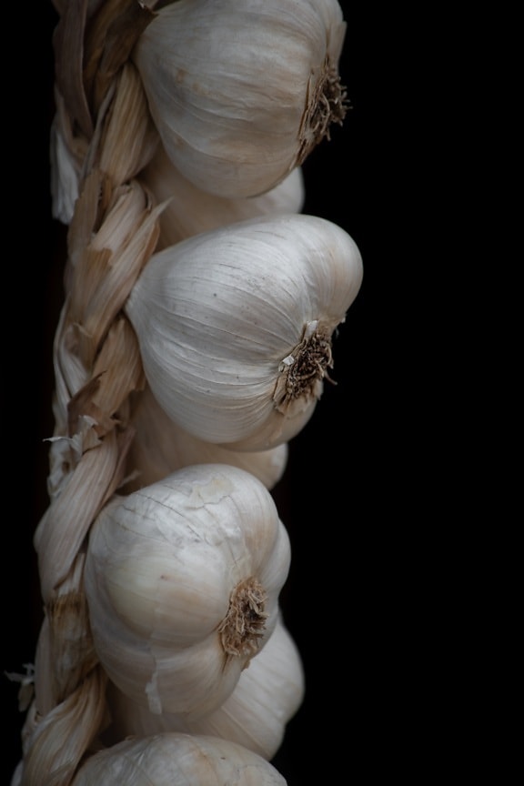 organic, garlic, close-up, hanging, spice, food, vegetable, ingredients, nutrition, root
