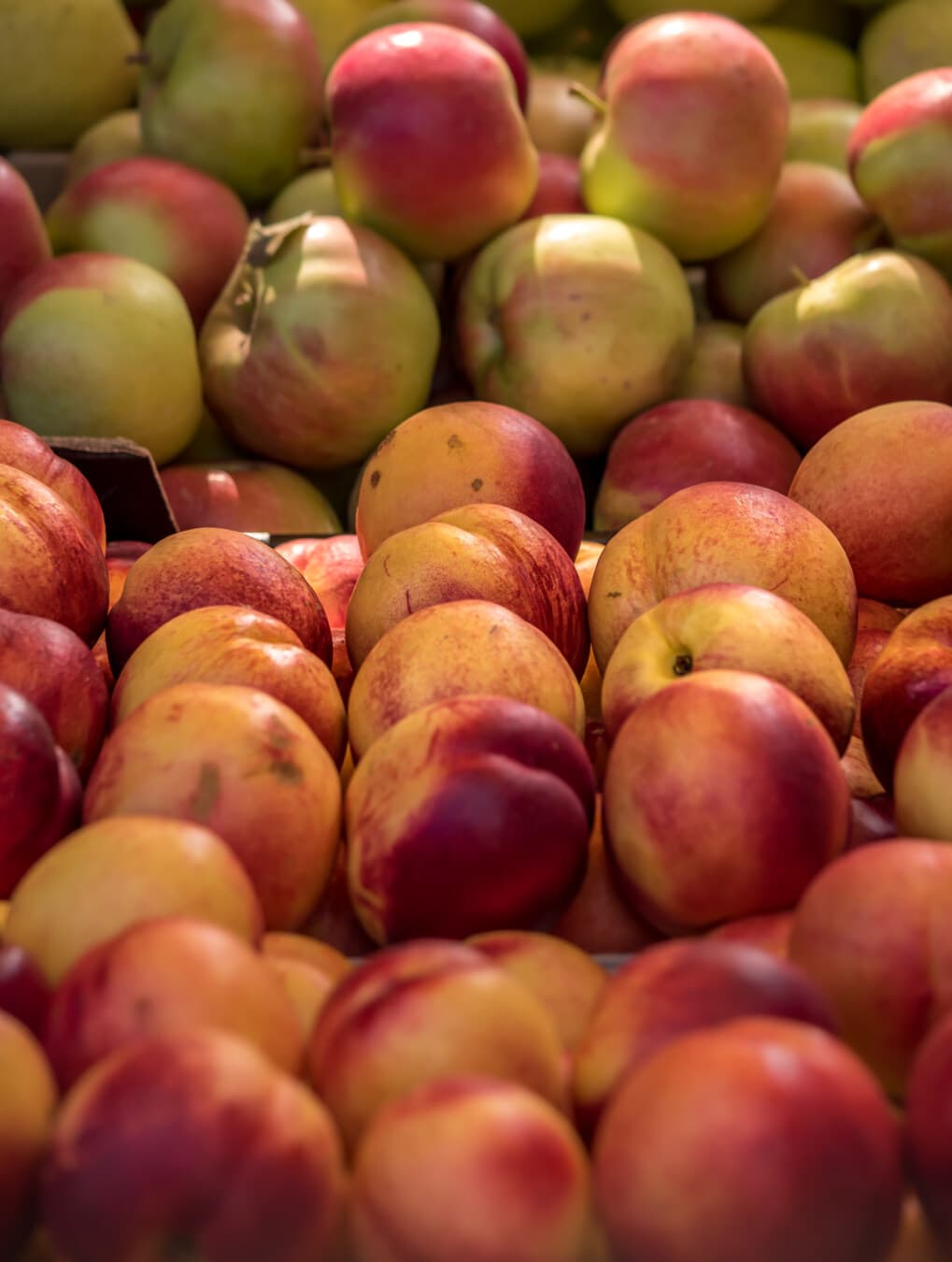 marketplace, nectarine, ripe fruit, fresh, food, fruit, market, peach, stall, apple