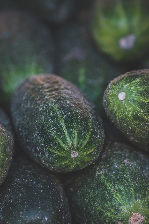 close-up, cucumber, dark green, organic, agriculture, products, food, vegetable, ingredients, nutrition