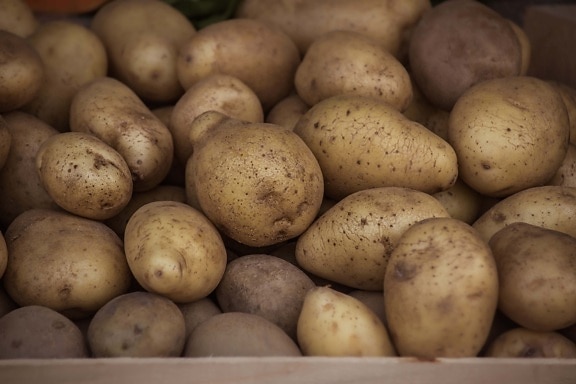 kentang, ubi jalar, organik, segar, sayur, coklat kekuningan, makanan, nutrisi, bahan, menghasilkan
