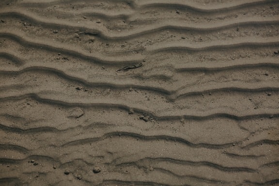 podvodná, textúra, piesok, pustatina, púštne, piesočná duna, zem, suché, pôdy, pláž