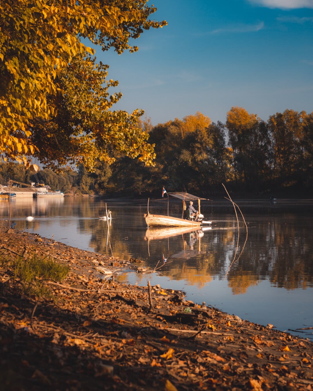 autumn season, october, fishing boat, fishing, recreation, idyllic, river, lake, reflection, water