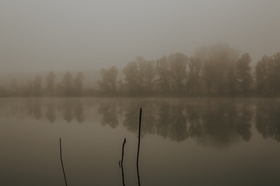 nebuloso, amanhecer, beira do lago, Lago, plácida, noite, névoa, paisagem, água, nevoeiro