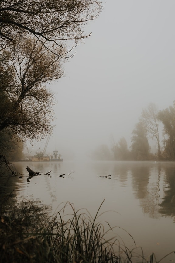 foggy, morning, autumn season, october, harbor, riverbank, river, sunset, dawn, swamp