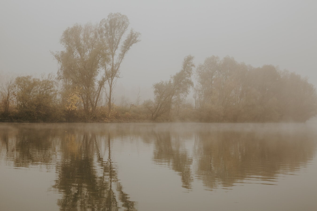 туманный, осенний сезон, утро, озеро, на берегу озера, туман, природа, отражение, зима, пейзаж