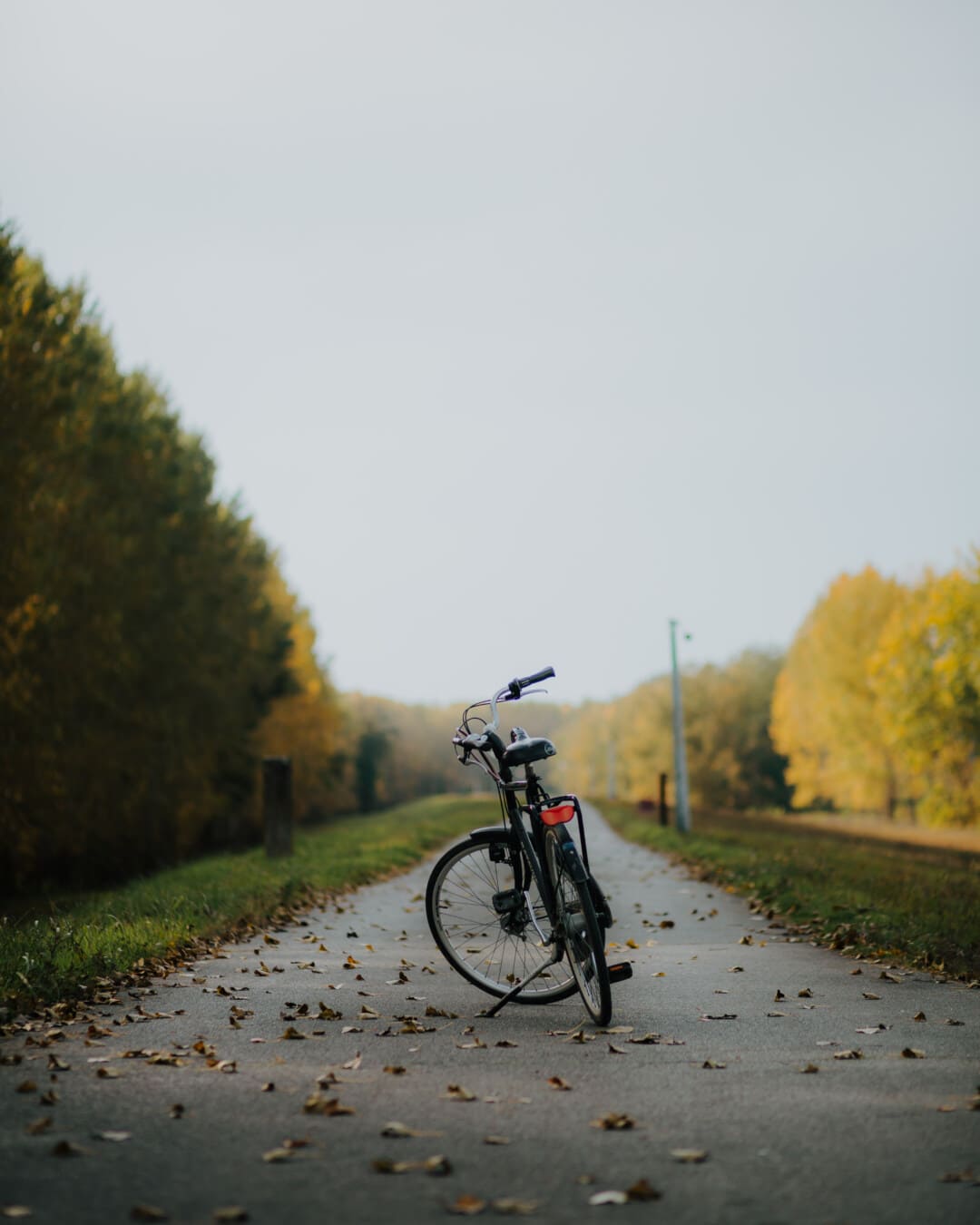 jesennej sezóny, cestné, cestovanie, stráň, bicyklov, Cyklistika, koleso, príroda, vonku, Príroda