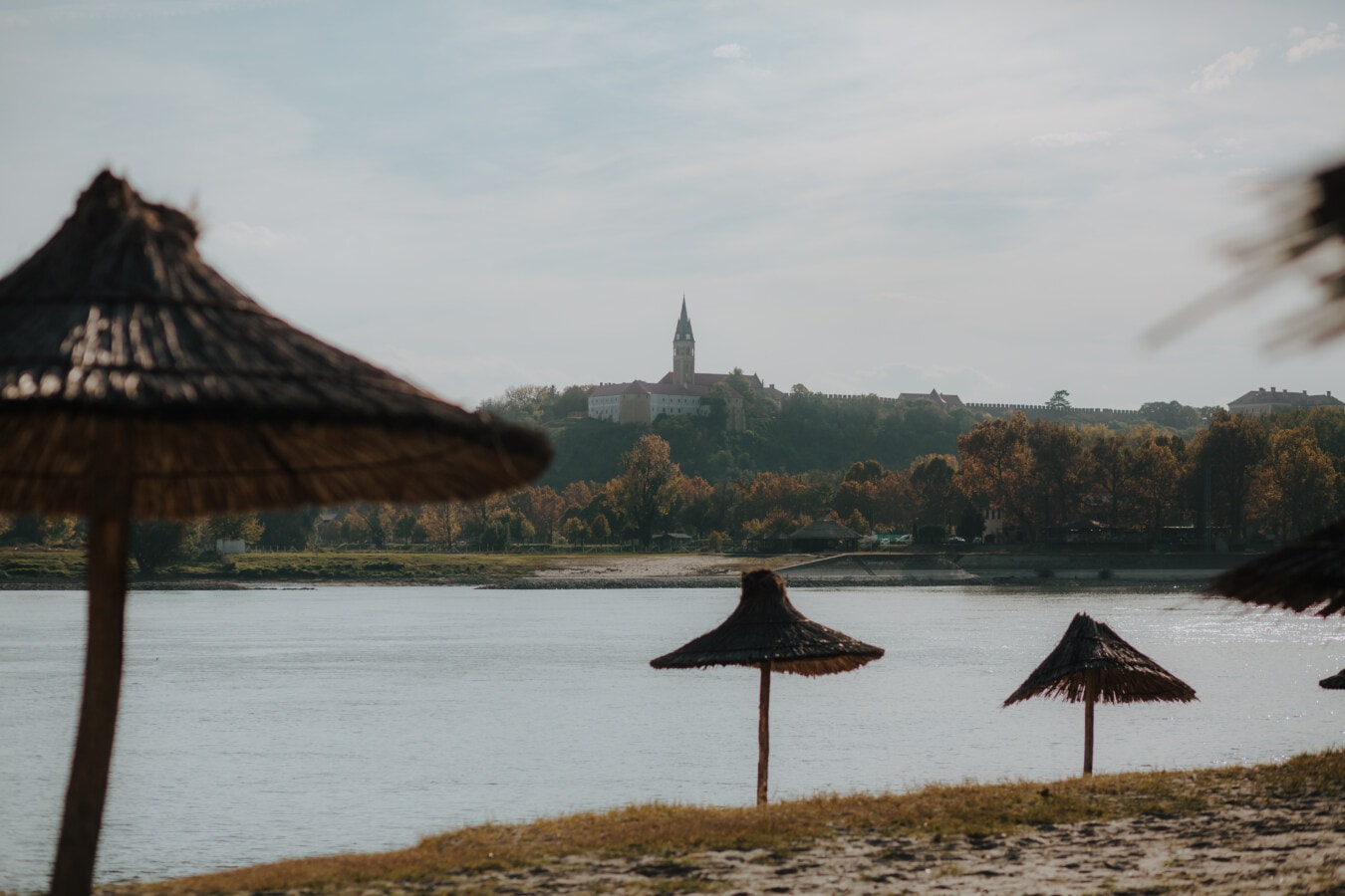 stranden, Donau flod, floden, åstranden, parasoll, höstsäsongen, landskap, plakat, vatten, träd