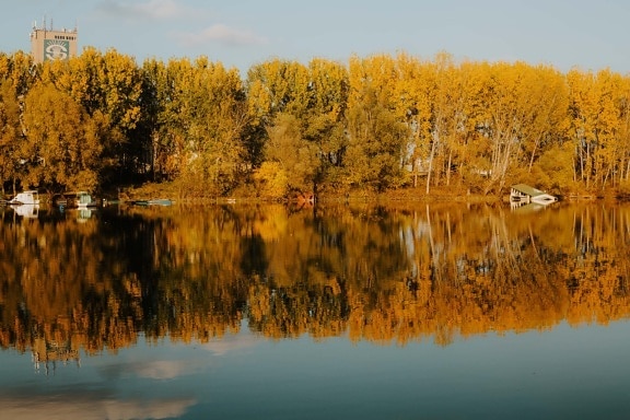 ниво на водата, отражение, Lakeside, есенния сезон, величествен, спокойствие, спокоен, дървета, топола, езеро