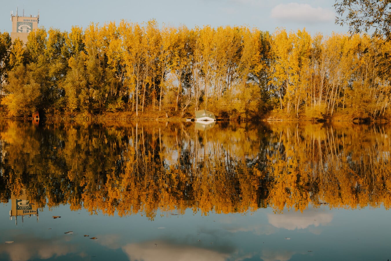 湖, 秋天季节, 船, 洪水, 自然公园, 木材, 秋天, 森林, 杨树, 柳树