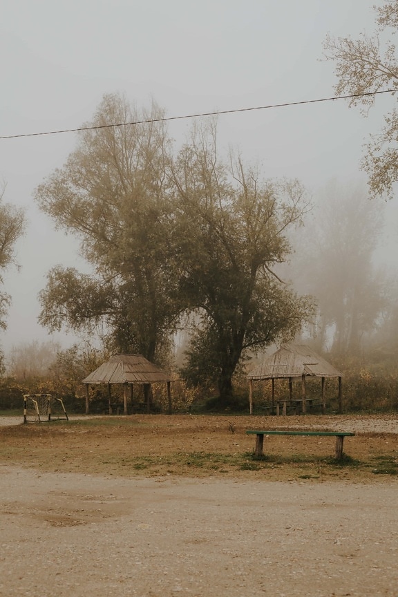 foggy, morning, autumn, tree, landscape, fog, mist, nature, light, wood