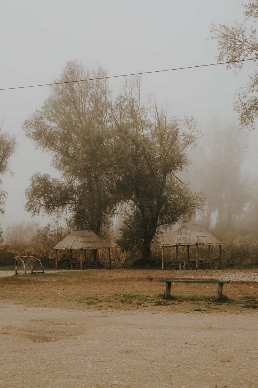 maglovito, jutro, jesen, drvo, krajolik, magla, magla, priroda, svjetlo, drvo