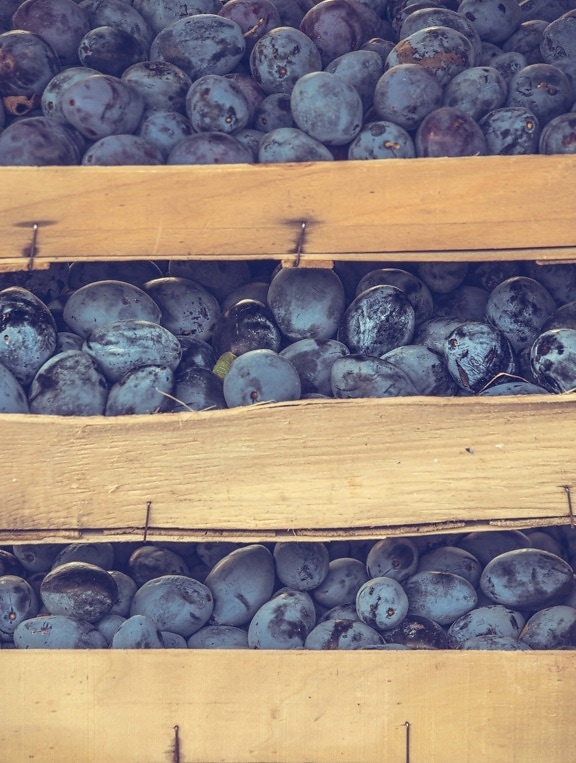 organique, bleu, prune, fruits, fruits mûrs, marché, boîtes de, à pied, bois, alimentaire