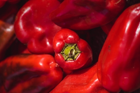 bell pepper, dark red, organic, close-up, spice, capsicum, vegetable, vitamin C, food, fresh