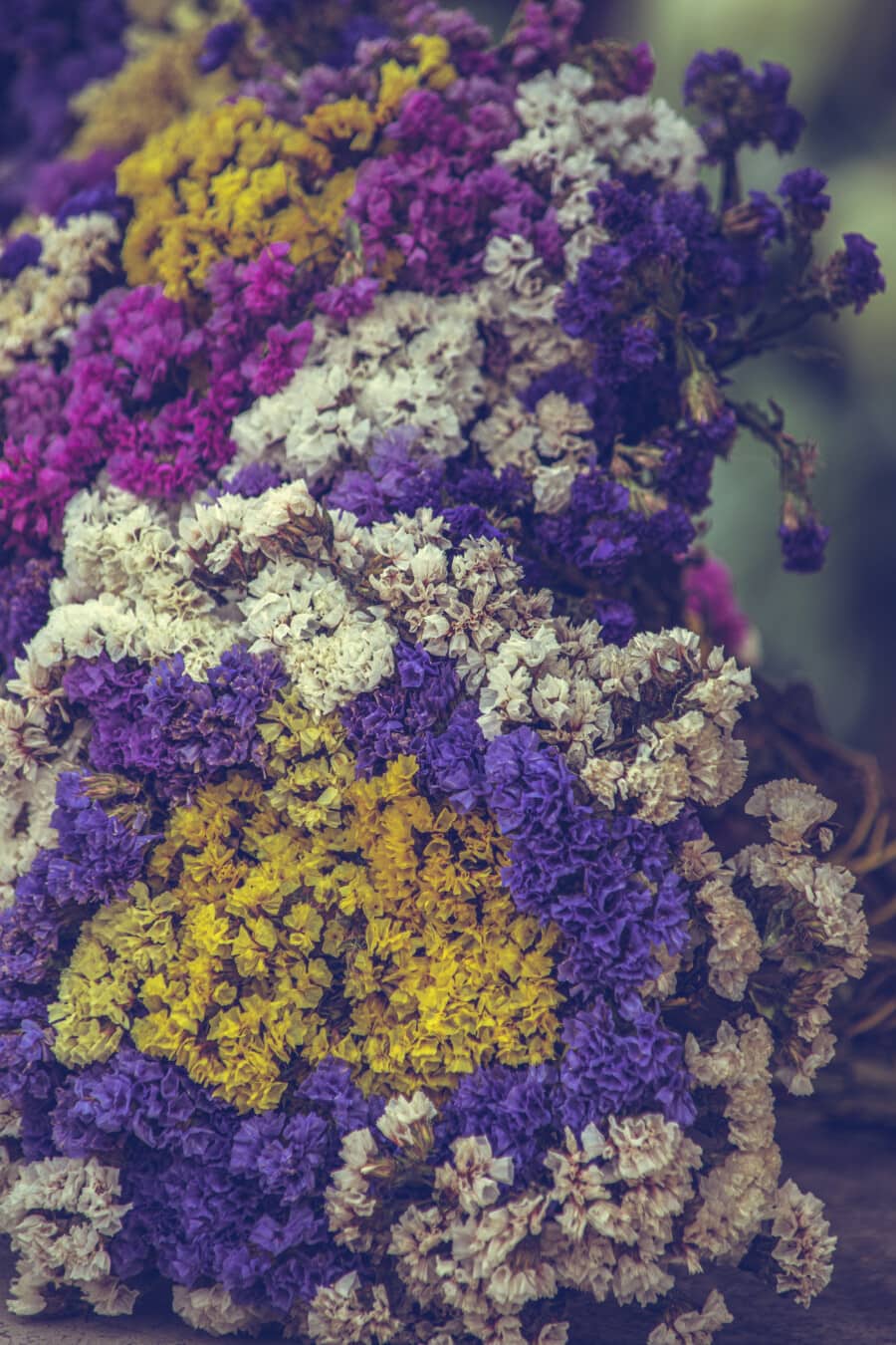 đầy màu sắc, bó hoa, lớn, hoa, hoa, thảo mộc, thực vật, màu sắc, trang trí, ngoài trời