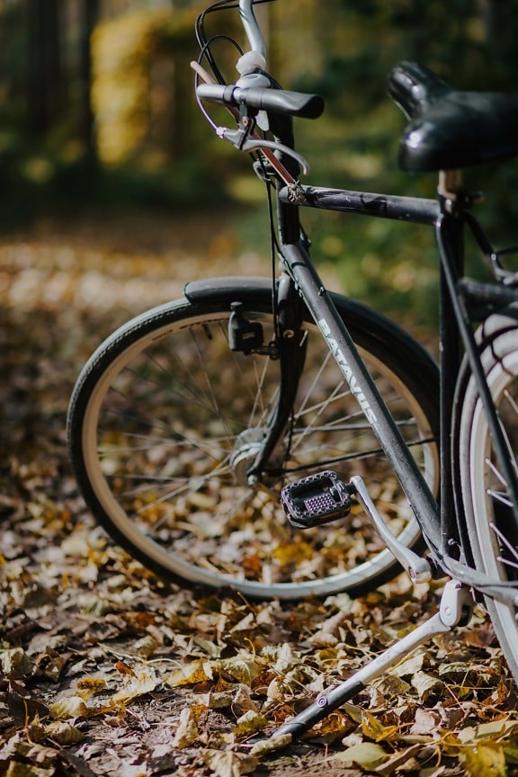 vélo, saison de l'automne, route forestière, sentier de la forêt, roue, unité, siège, à l’extérieur, nature, véhicule