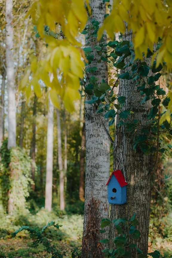 hanging, small, house, miniature, forest, handmade, tree, bark, wood, leaf