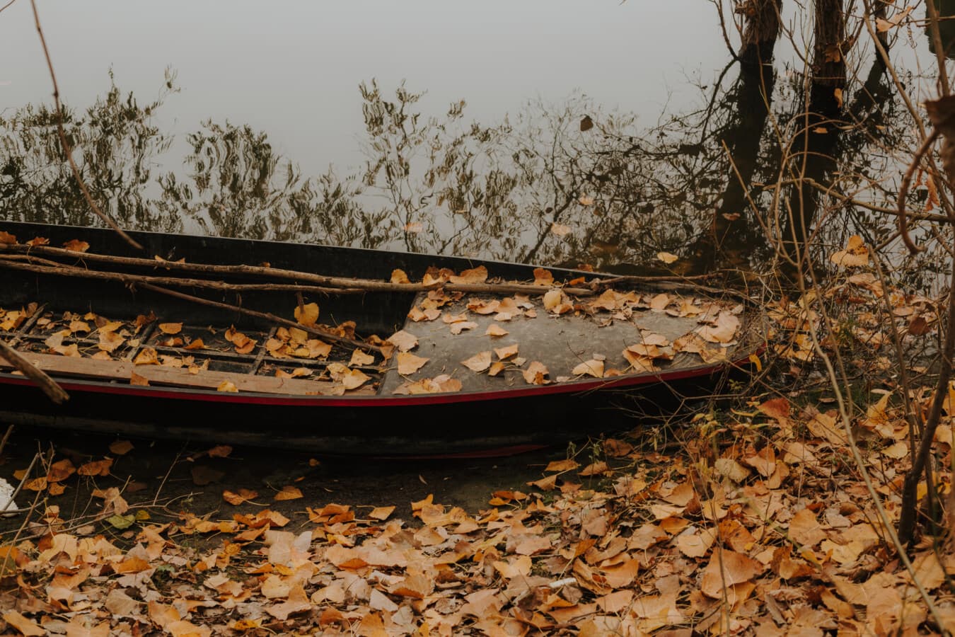 terk edilmiş, nehir tekne, ahşap, sahipsiz, çürüme, sonbahar sezon, tekne, yaprak, doğa, ahşap