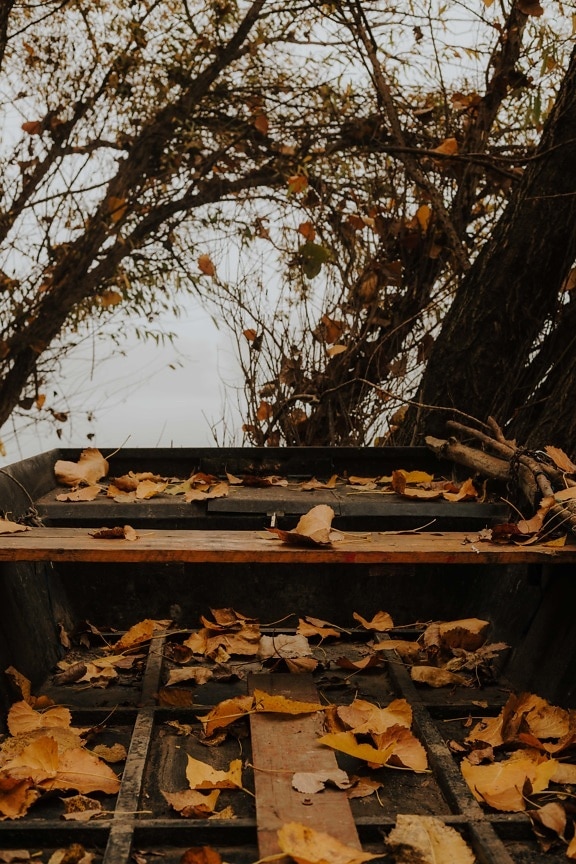 abandonné, bateau de rivière, carie, feuilles jaunes, saison sèche, saison de l'automne, bois, arbre, paysage, nature