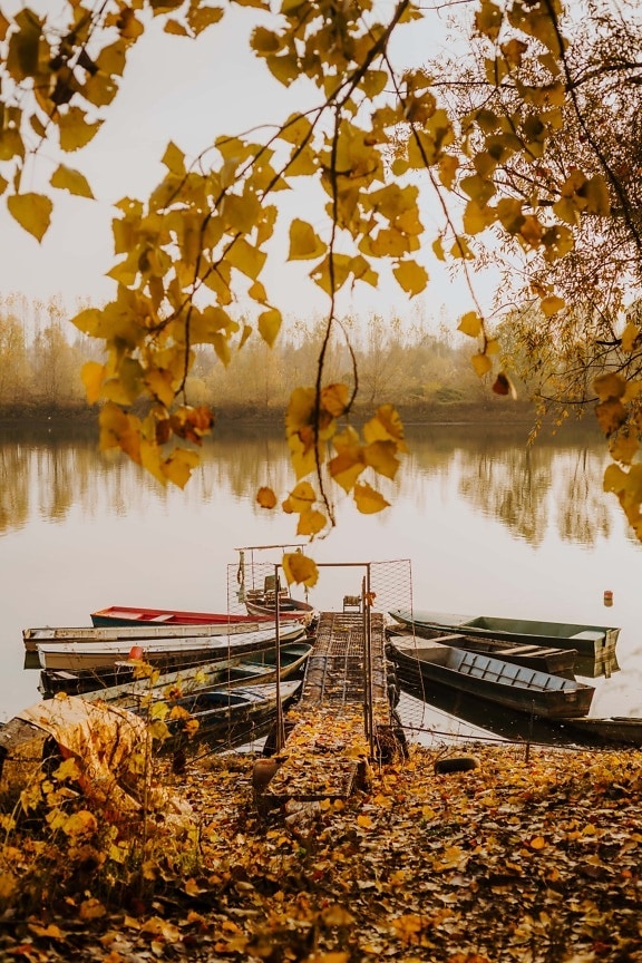 rivierboot, oever van de rivier, rivier, herfst seizoen, gele bladeren, takken, kust, boom, landschap, herfst