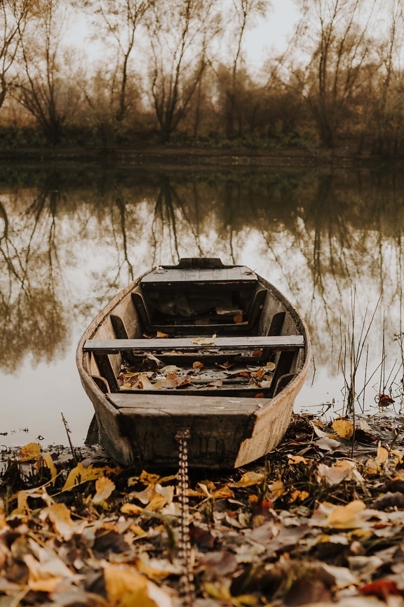 rivière, berge, bateau de rivière, saison de l'automne, abandonné, remise en conformité, carie, nature, eau, à l’extérieur