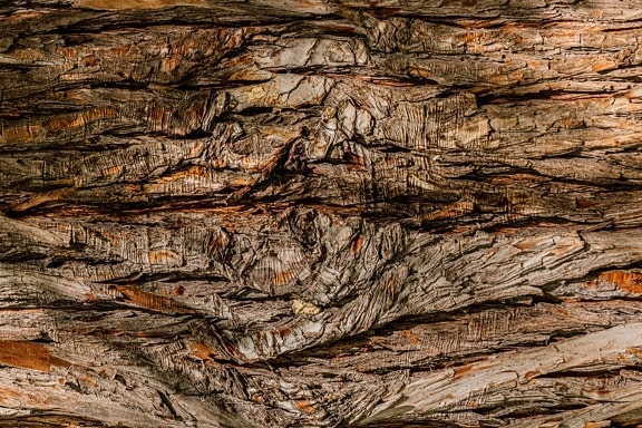arbre, cortex, horizontal, texture, écorce, en détail, nœud, bois, modèle, Rough