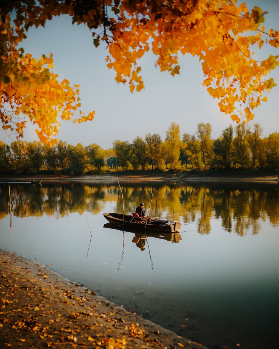 漁師, 釣りボート, 雰囲気, 枝, 葉, オレンジ黄色, 牧歌的です, 川のボート, 川岸, 水
