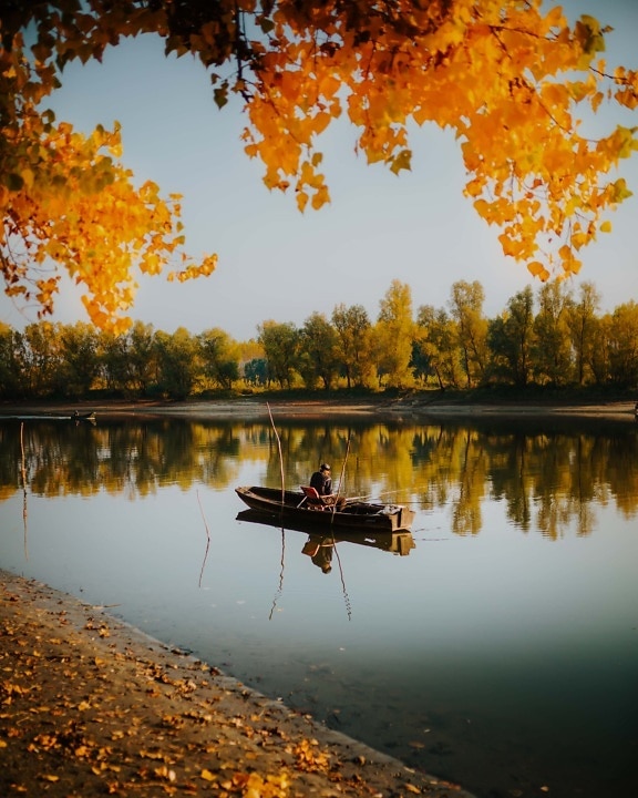fisherman, fishing boat, atmosphere, branches, leaf, orange yellow, idyllic, river boat, riverbank, water