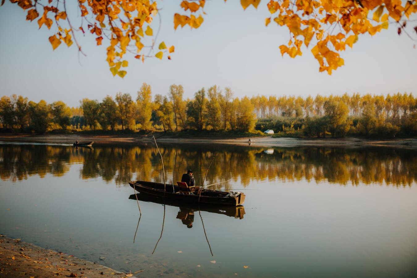 majestátne, jesennej sezóny, Rybolov, rybársky čln, rybár, Príroda, pokojný, jazero, breh, strom