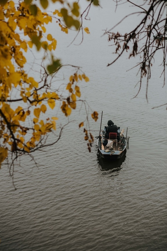 fisherman, channel, boat, water, leaf, river, nature, tree, landscape, outdoors