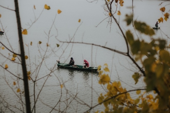 fishing, fishing boat, cold, october, weather, autumn season, tree, people, leaf, water