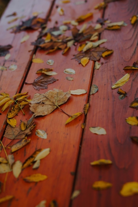 жълтеникаво-кафява, жълти листа, есенния сезон, дървени, дъски, листа, листа, есен, природата, цвят