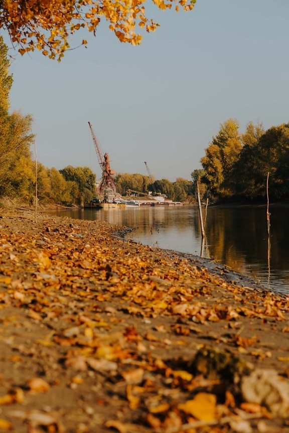 river, autumn season, riverbank, harbour, shore, water, lake, landscape, leaf, nature
