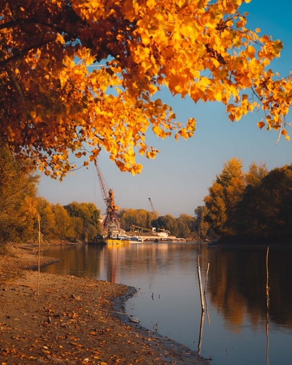 workplace, autumn season, harbor, industrial, shore, lakeside, leaves, orange yellow, autumn, tree