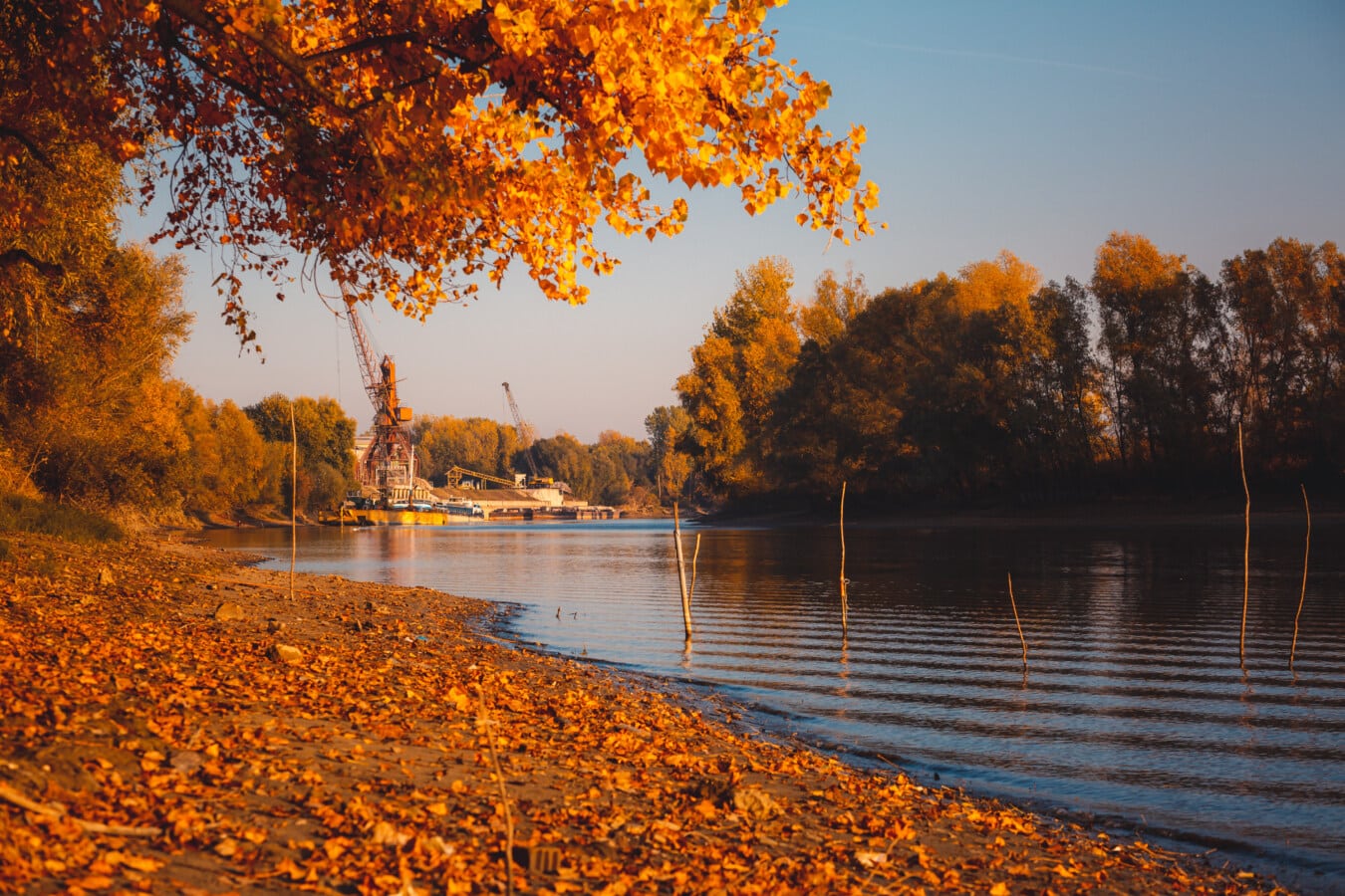 湖, 秋天季节, 叶, 橙黄色, 分支机构, 波, 国家公园, 冷静, 水, 景观