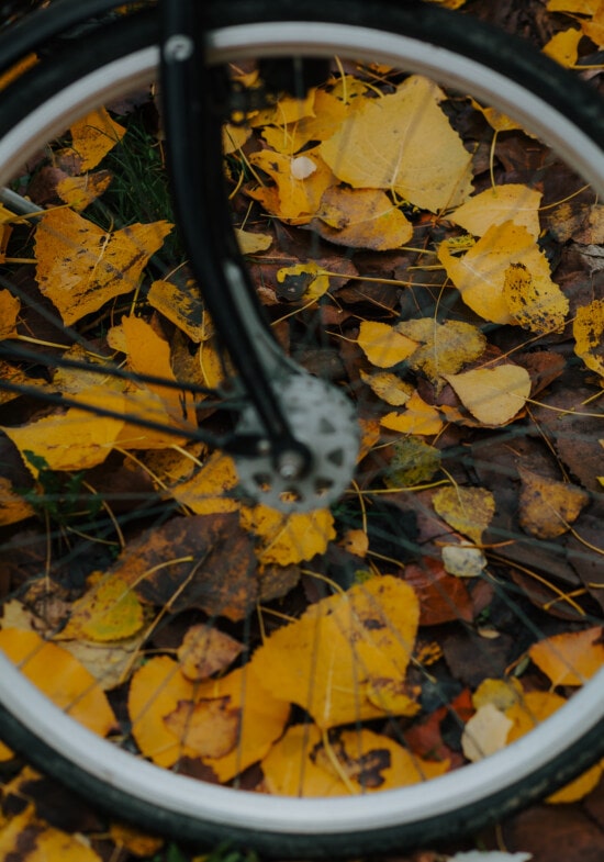 bicycle, wheel, close-up, yellowish, yellow, yellowish brown, yellow leaves, leaves, leaf, autumn