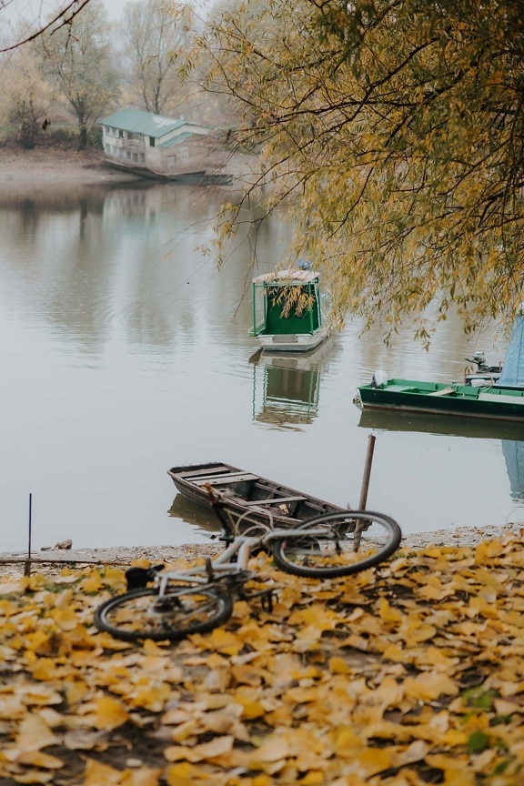 autumn season, cold, river, riverbank, water, outdoors, nature, wood, abandoned, vehicle