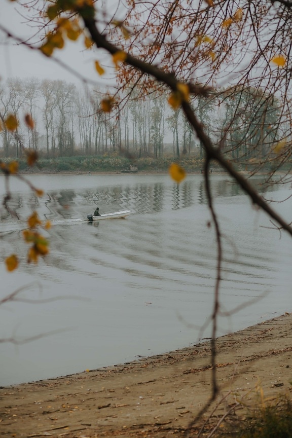 autumn season, riverbank, river, river boat, driving, motorboat, person, tree, trees, nature