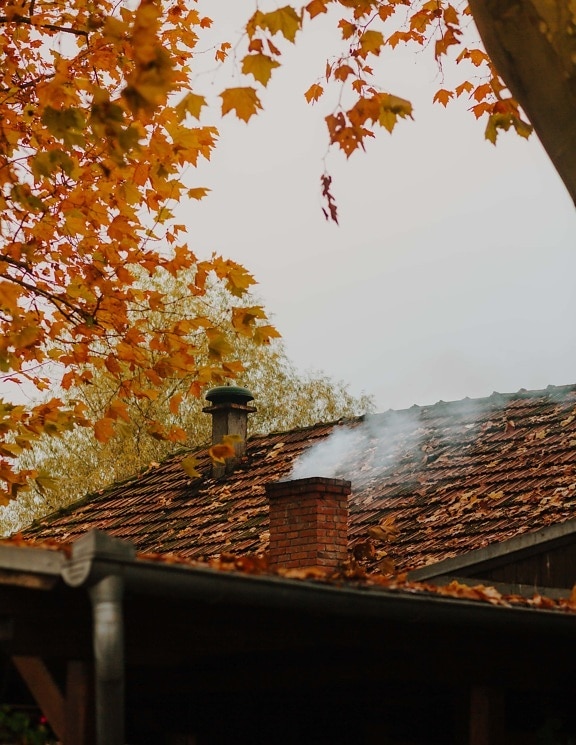 smoke, chimney, autumn season, rooftop, roof, cold, weather, tree, house, leaf