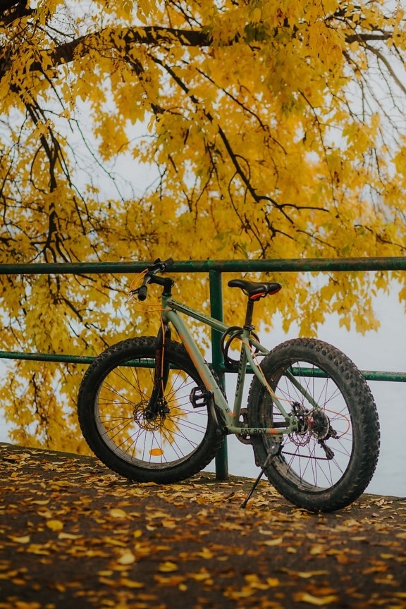 big, mountain bike, tire, fence, autumn season, outdoor, bike, bicycle, vehicle, wheel