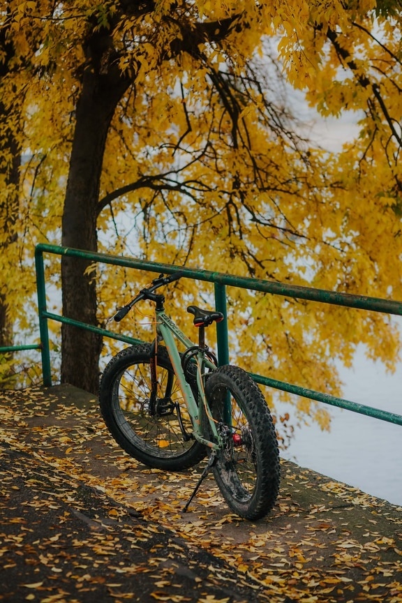 Otoño, bicicleta de montaña, cerca de, hojas amarillas, grande, neumático, asiento, paisaje, madera, naturaleza