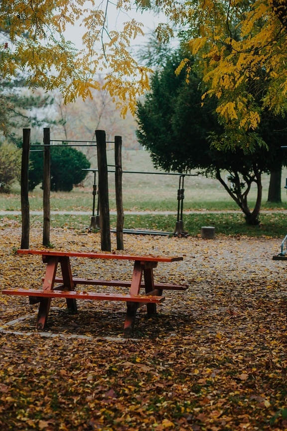 playground, empty, cold, autumn season, urban area, leaf, bench, park, seat, tree