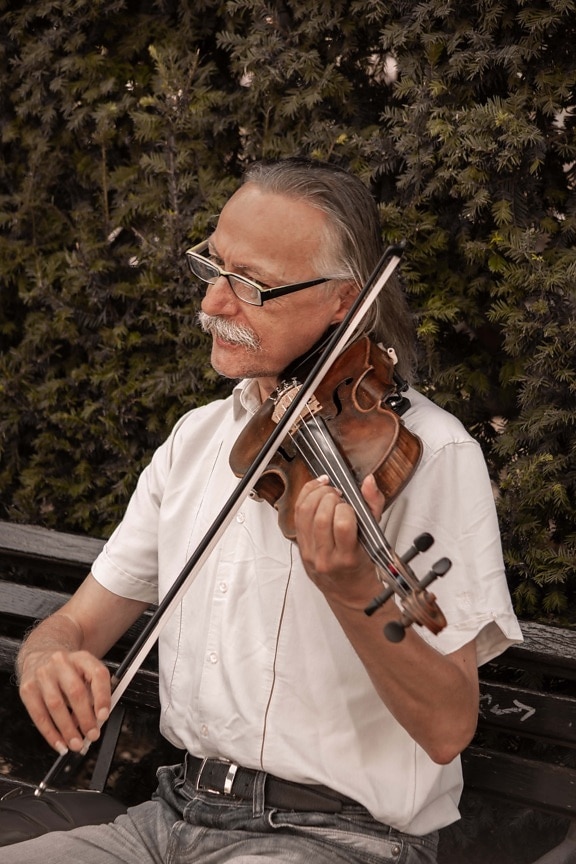 vanha mies, muusikko, vanhempi, viulu, musiikki, ääni, viihdyttäjä, Viihde, mies, konsertti