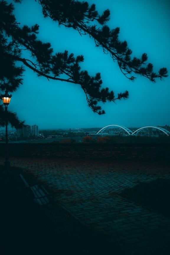 Petrovaradin cityscape, nighttime, evening, urban area, lamp, shadow, panorama, tree, silhouette
